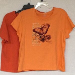 TWO Tees.  Faded Glory  18/20 W & Sonoma 2 XL butterfly tee